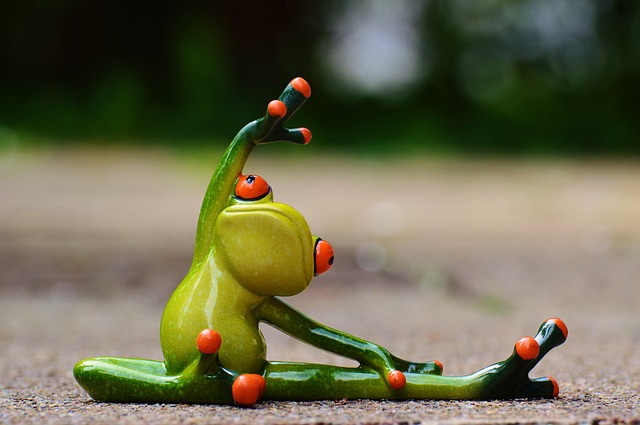 cvičící žába